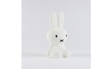 Miffy First Light